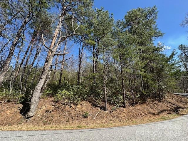 0 Hawthorne Drive Lake Lure NC 28746