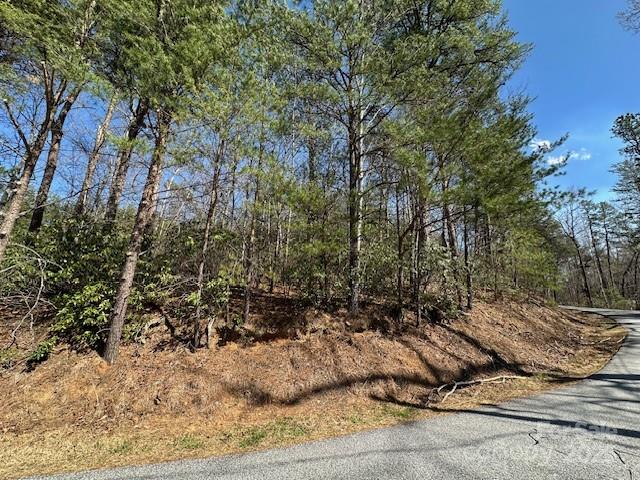 0 Hawthorne Drive Lake Lure NC 28746