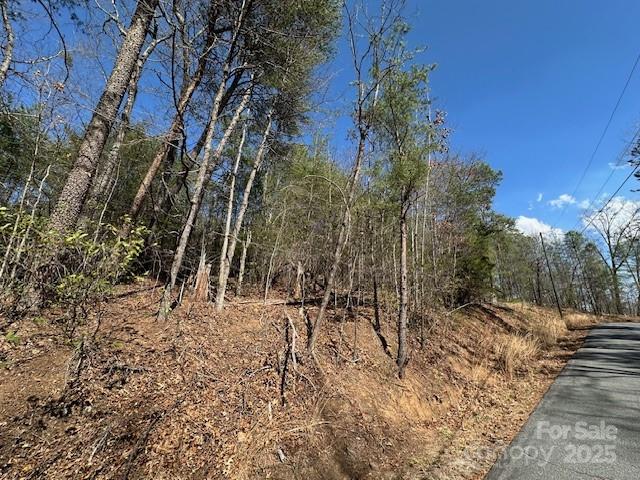 0 Hawthorne Drive Lake Lure NC 28746