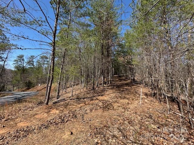 0 Hawthorne Drive Lake Lure NC 28746