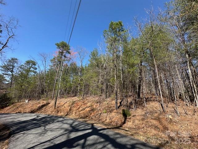 0 Hawthorne Drive Lake Lure NC 28746