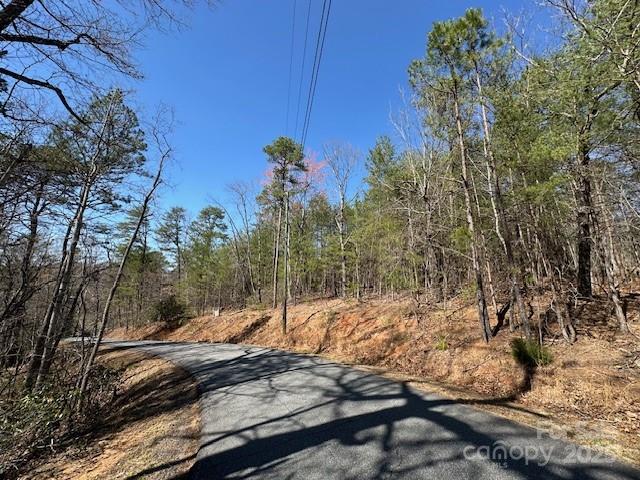 0 Hawthorne Drive Lake Lure NC 28746