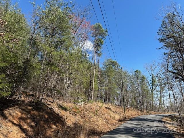 0 Hawthorne Drive Lake Lure NC 28746