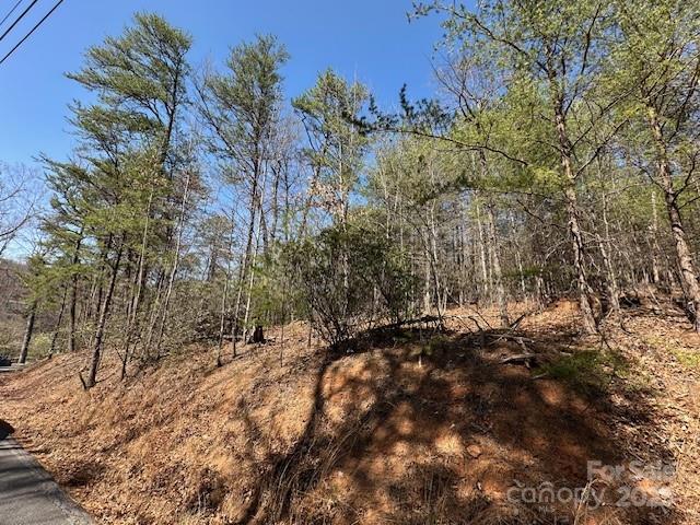 0 Hawthorne Drive Lake Lure NC 28746