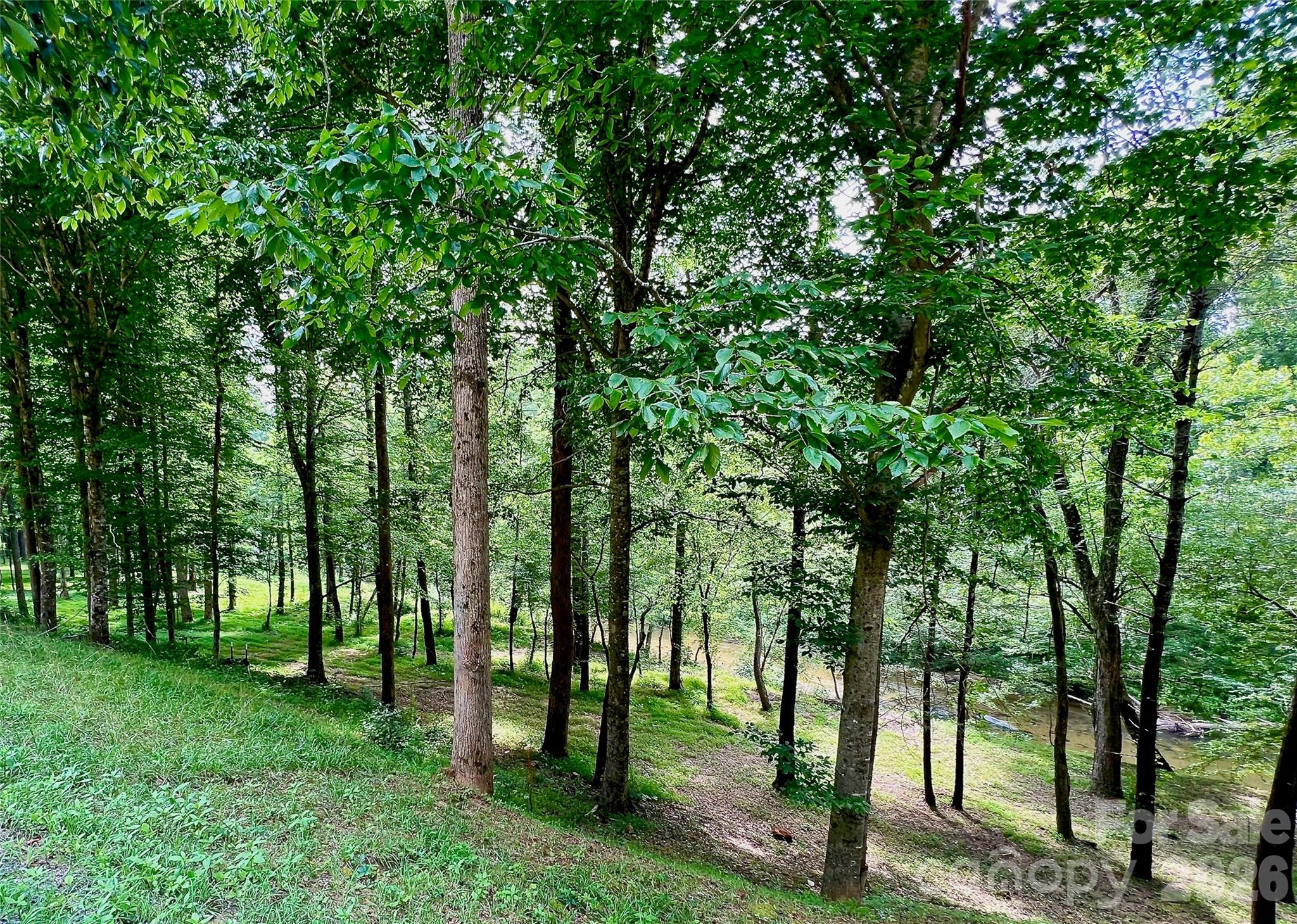 5915 River Hollow Trail Lenoir NC 28645