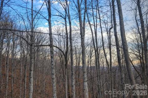 00 Upward Way Waynesville NC 28785