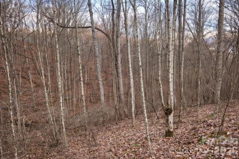 00 Upward Way Waynesville NC 28785