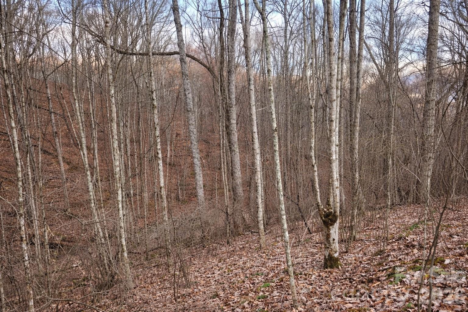 00 Upward Way Waynesville NC 28785