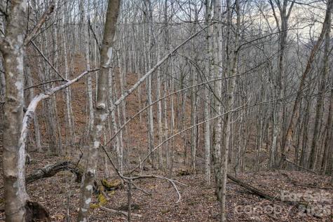 00 Upward Way Waynesville NC 28785