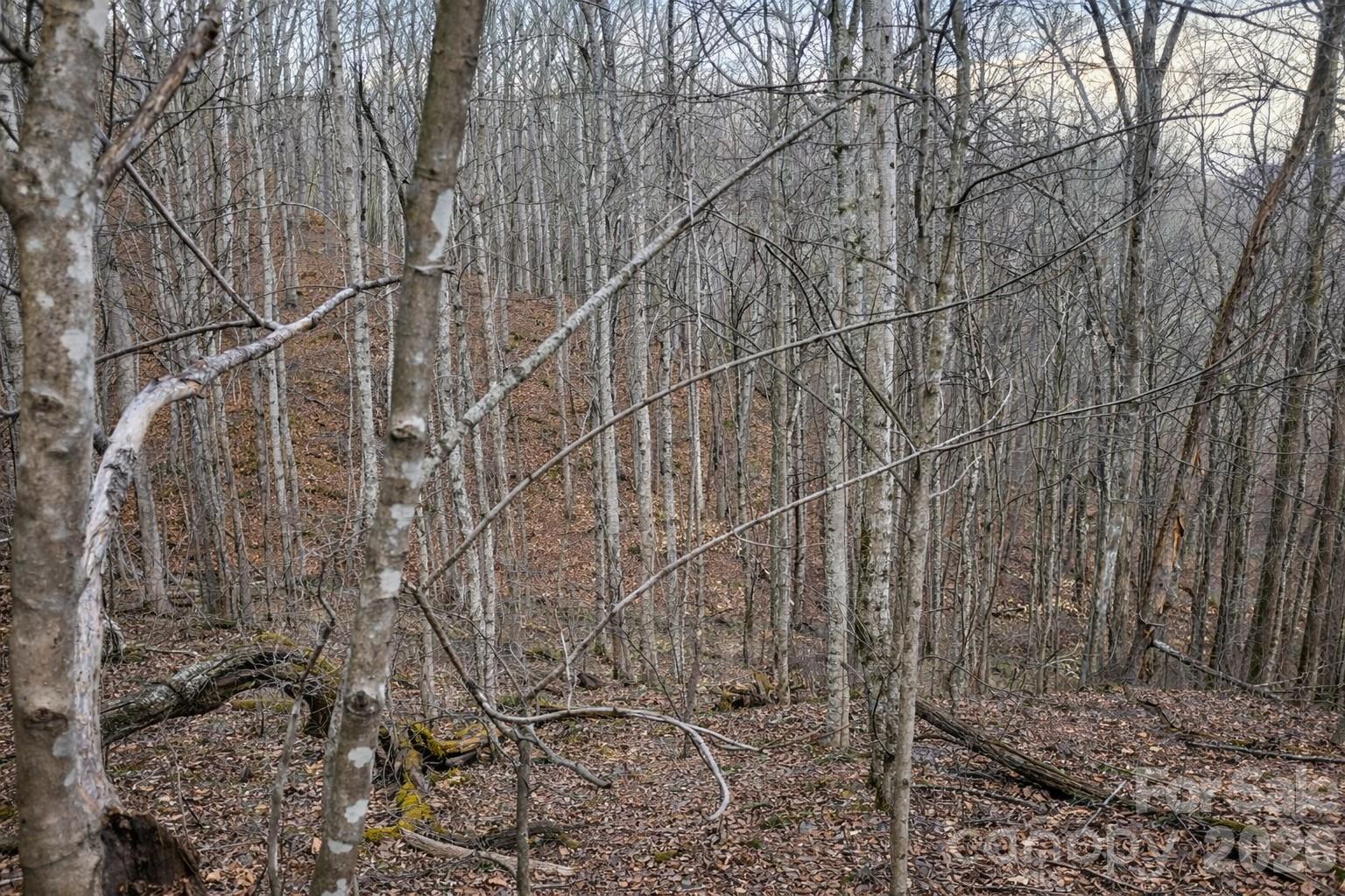 00 Upward Way Waynesville NC 28785