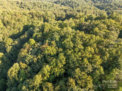 Lot 8 Madison Lane Robbinsville NC 28771
