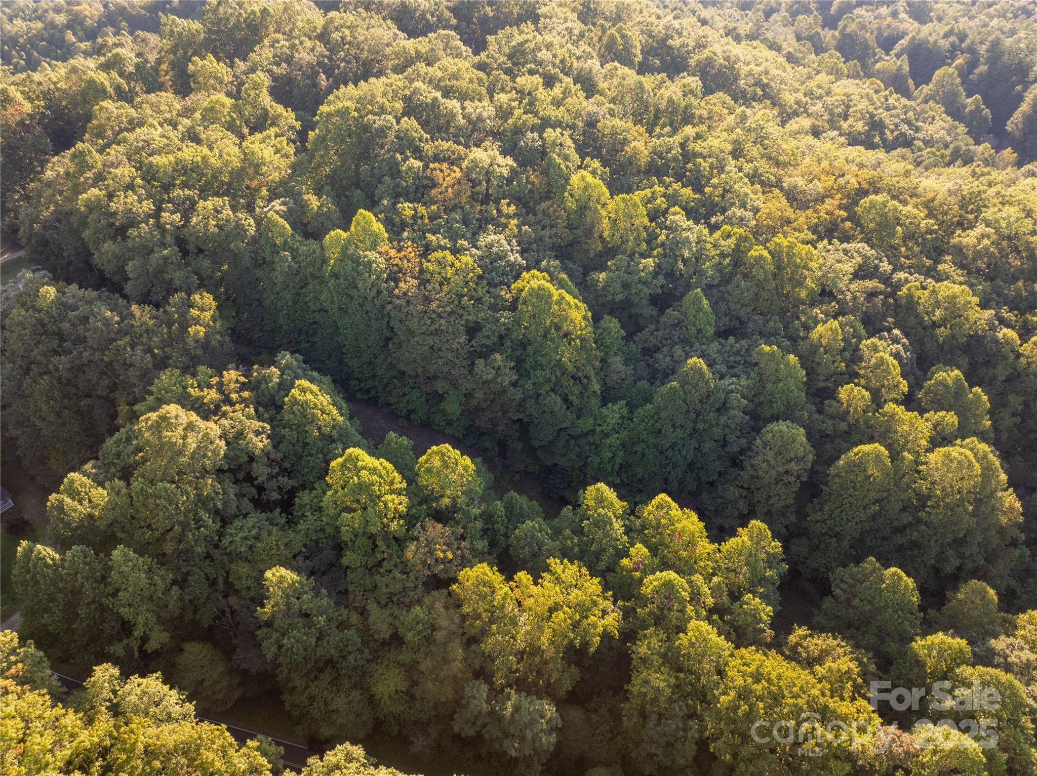 Lot 8 Madison Lane Robbinsville NC 28771