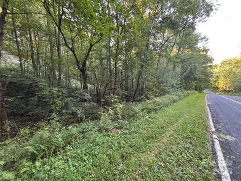 Lot 8 Madison Lane Robbinsville NC 28771