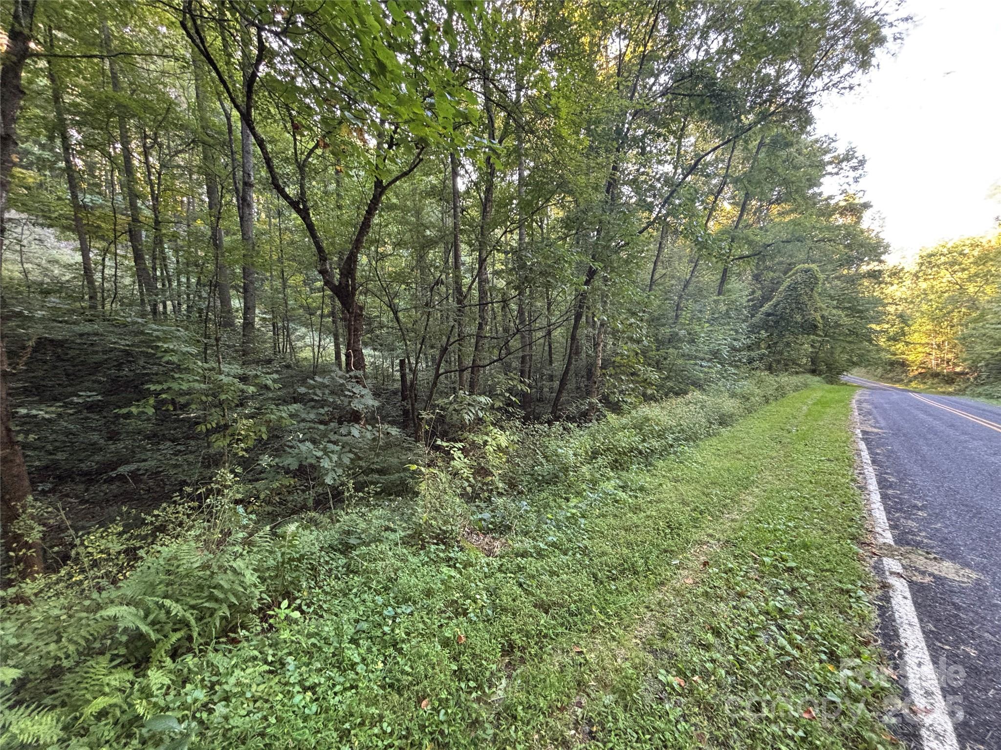 Lot 8 Madison Lane Robbinsville NC 28771