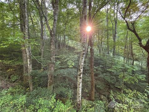 Lot 8 Madison Lane Robbinsville NC 28771