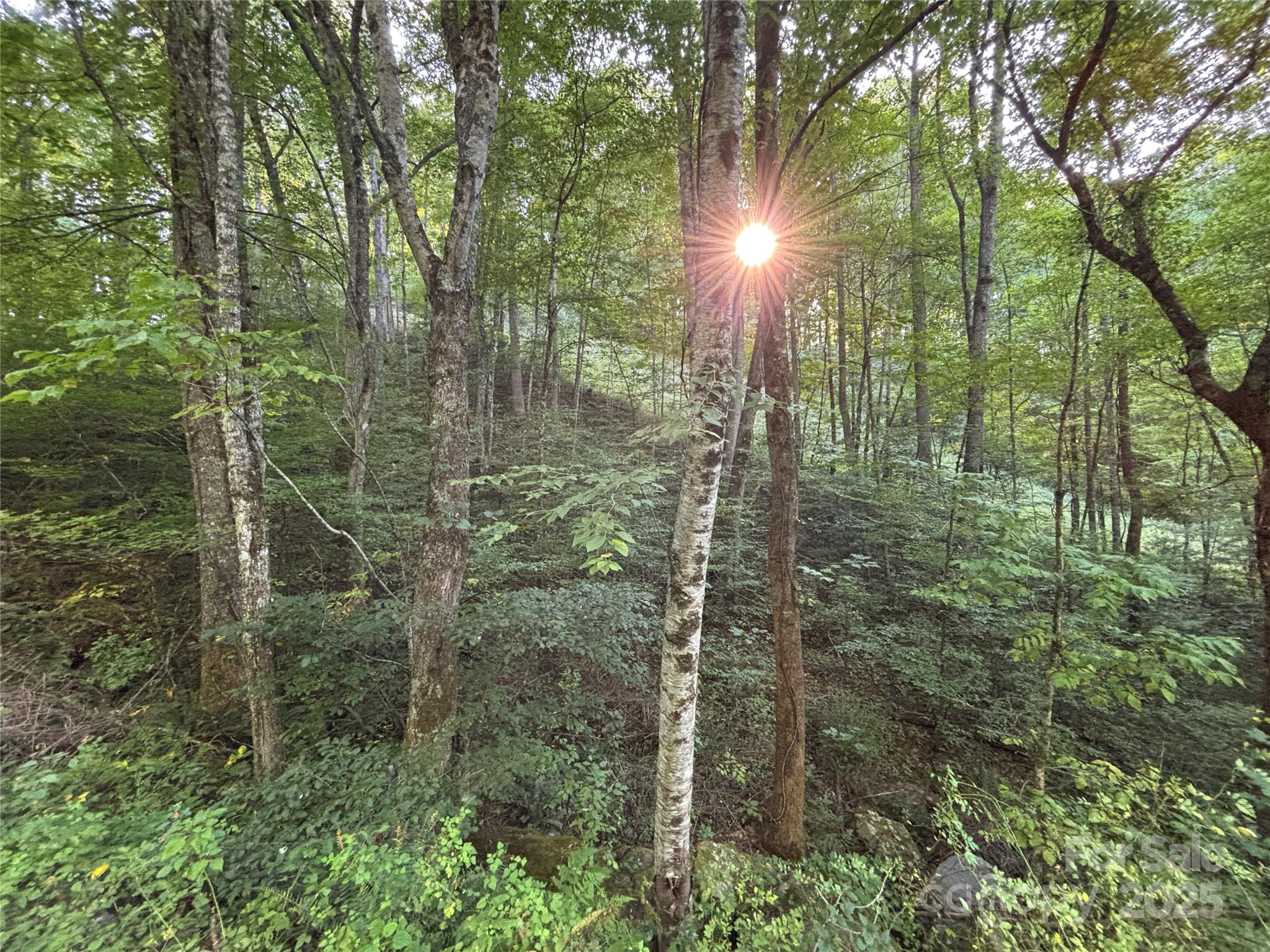 Lot 8 Madison Lane Robbinsville NC 28771