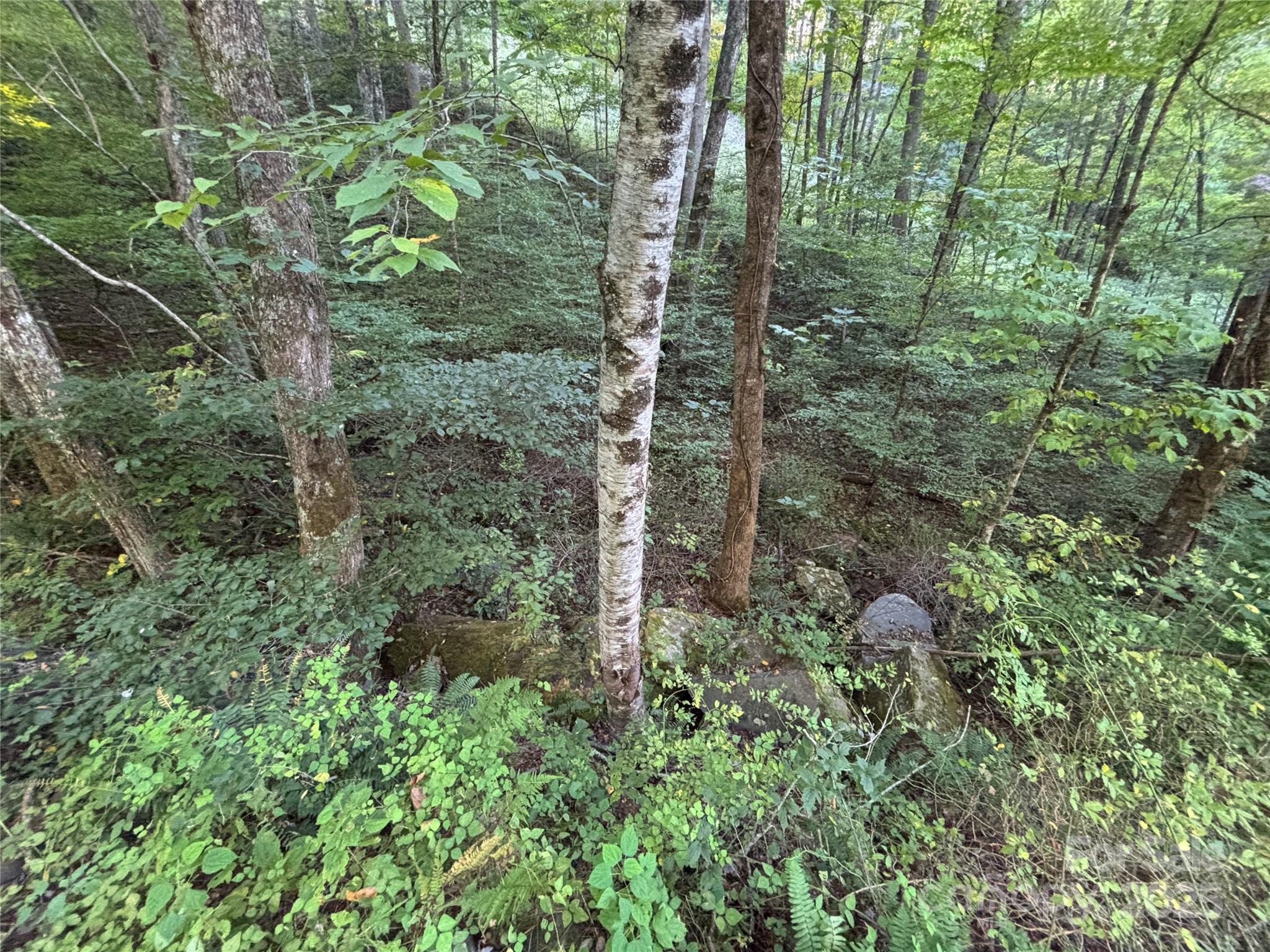 Lot 8 Madison Lane Robbinsville NC 28771
