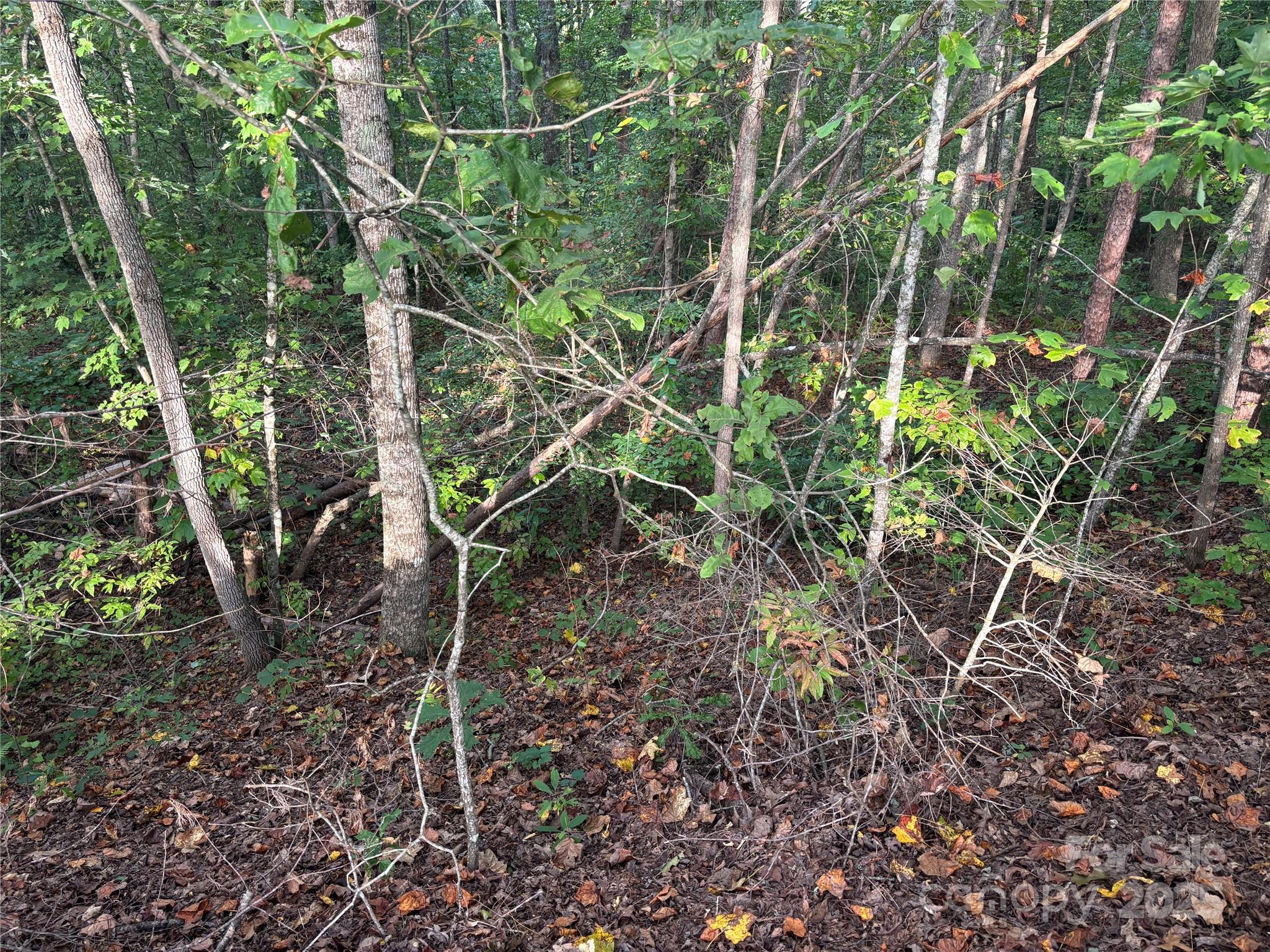 Lot 8 Madison Lane Robbinsville NC 28771