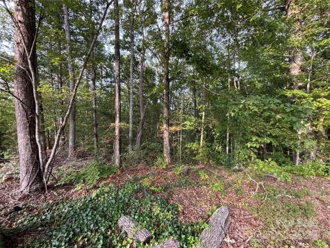 Lot 8 Madison Lane Robbinsville NC 28771
