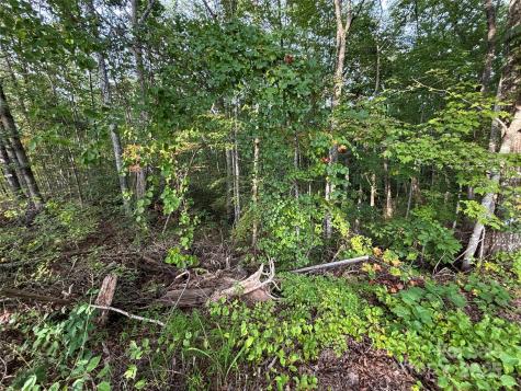 Lot 8 Madison Lane Robbinsville NC 28771