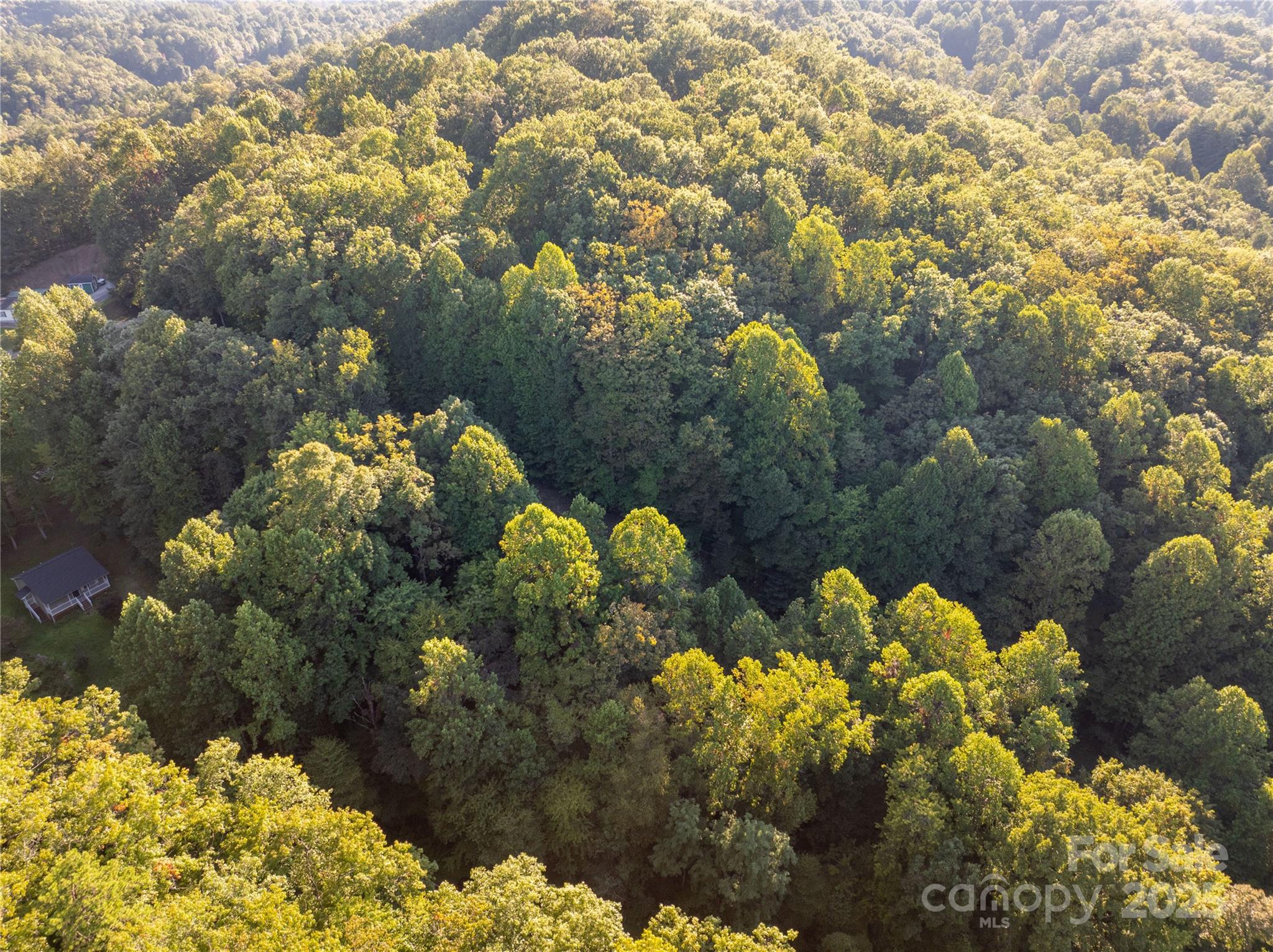 Lot 8 Madison Lane Robbinsville NC 28771