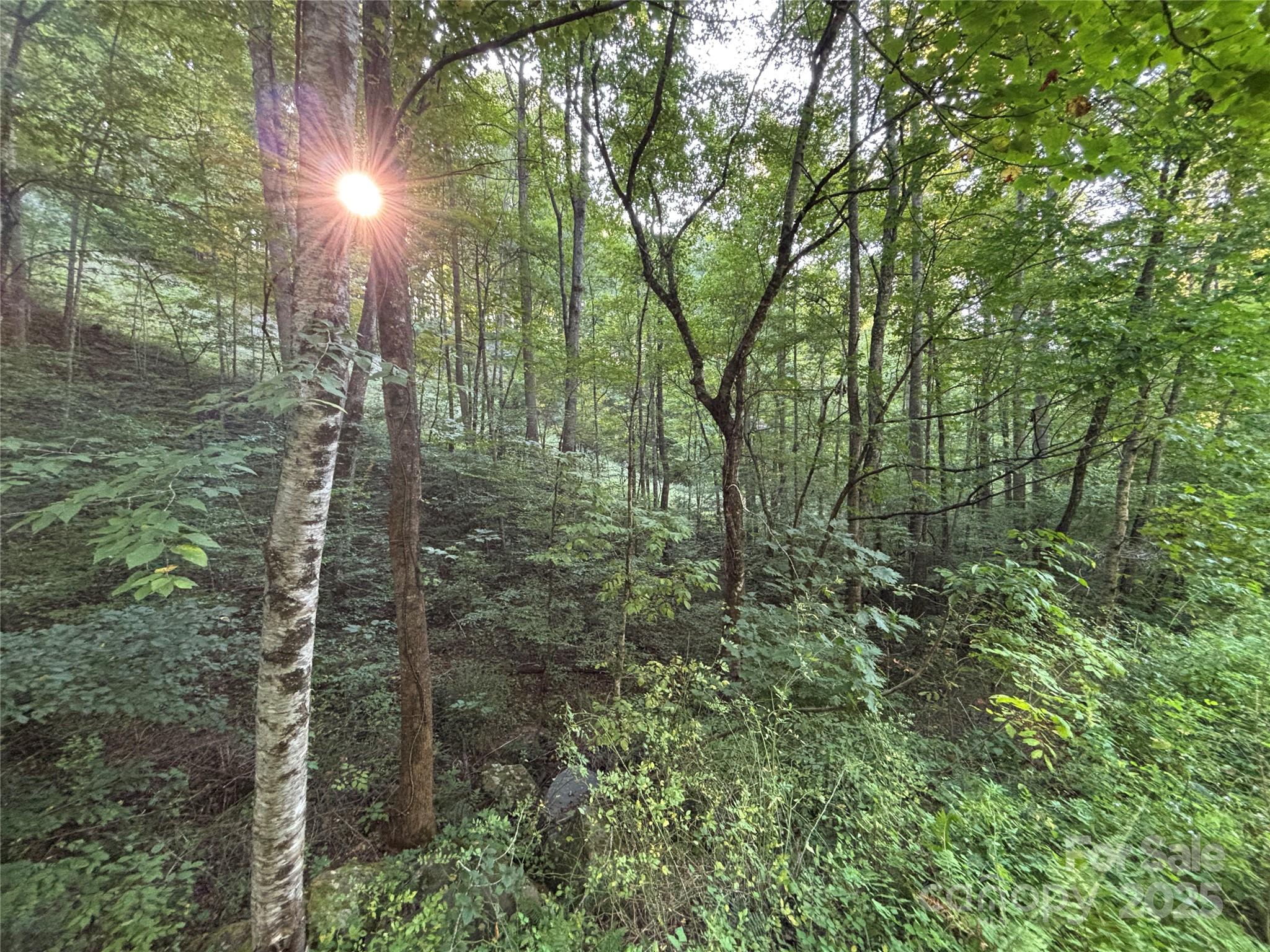 Lot 8 Madison Lane Robbinsville NC 28771