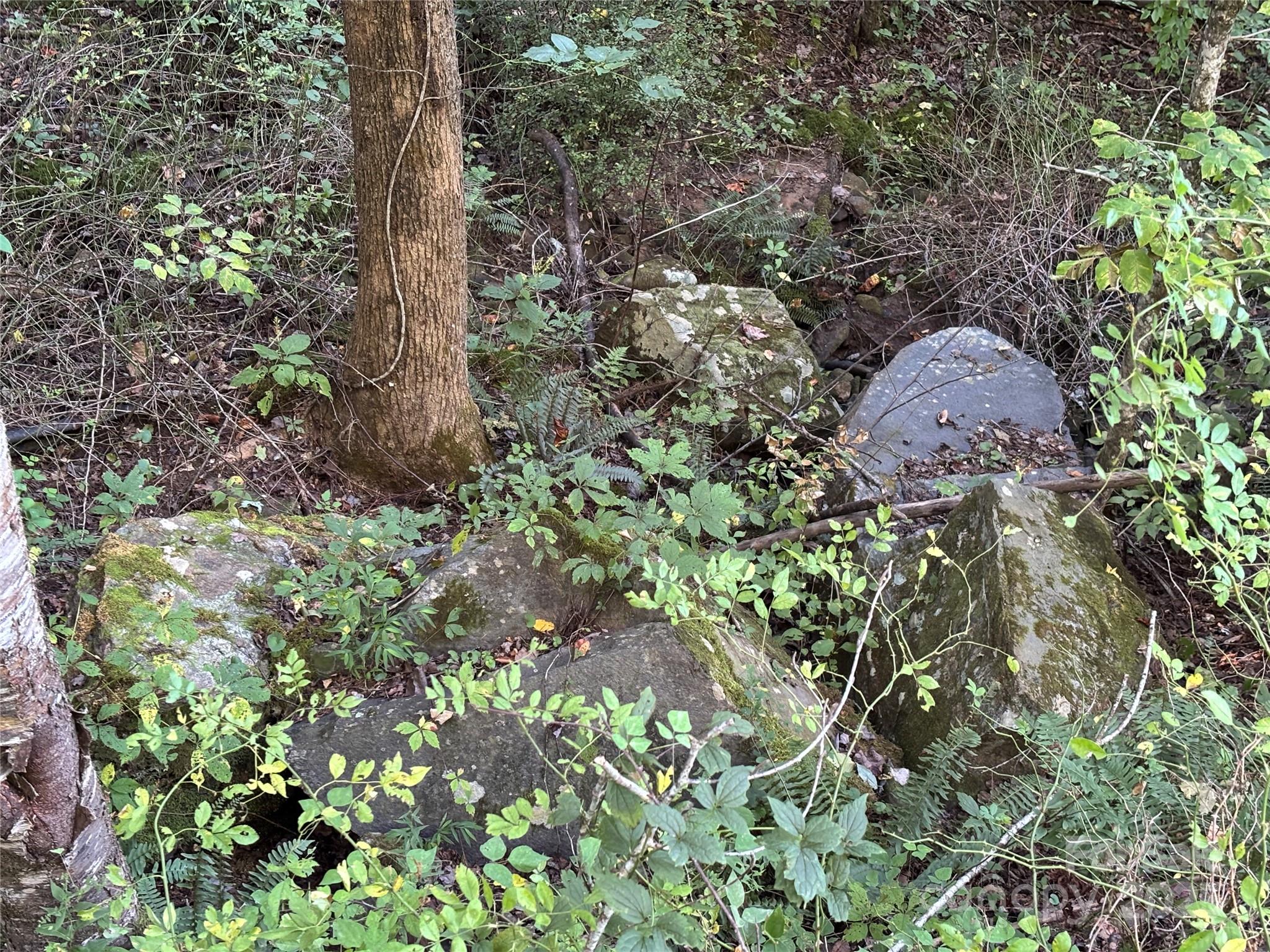 Lot 8 Madison Lane Robbinsville NC 28771