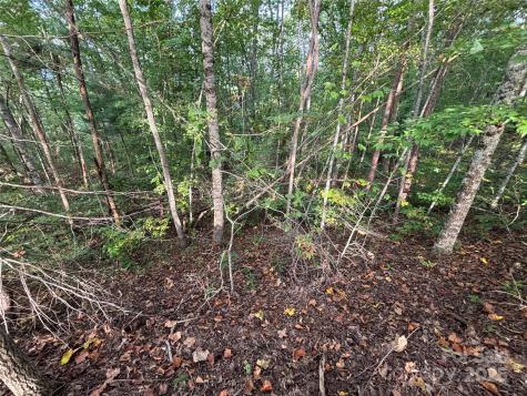 Lot 8 Madison Lane Robbinsville NC 28771