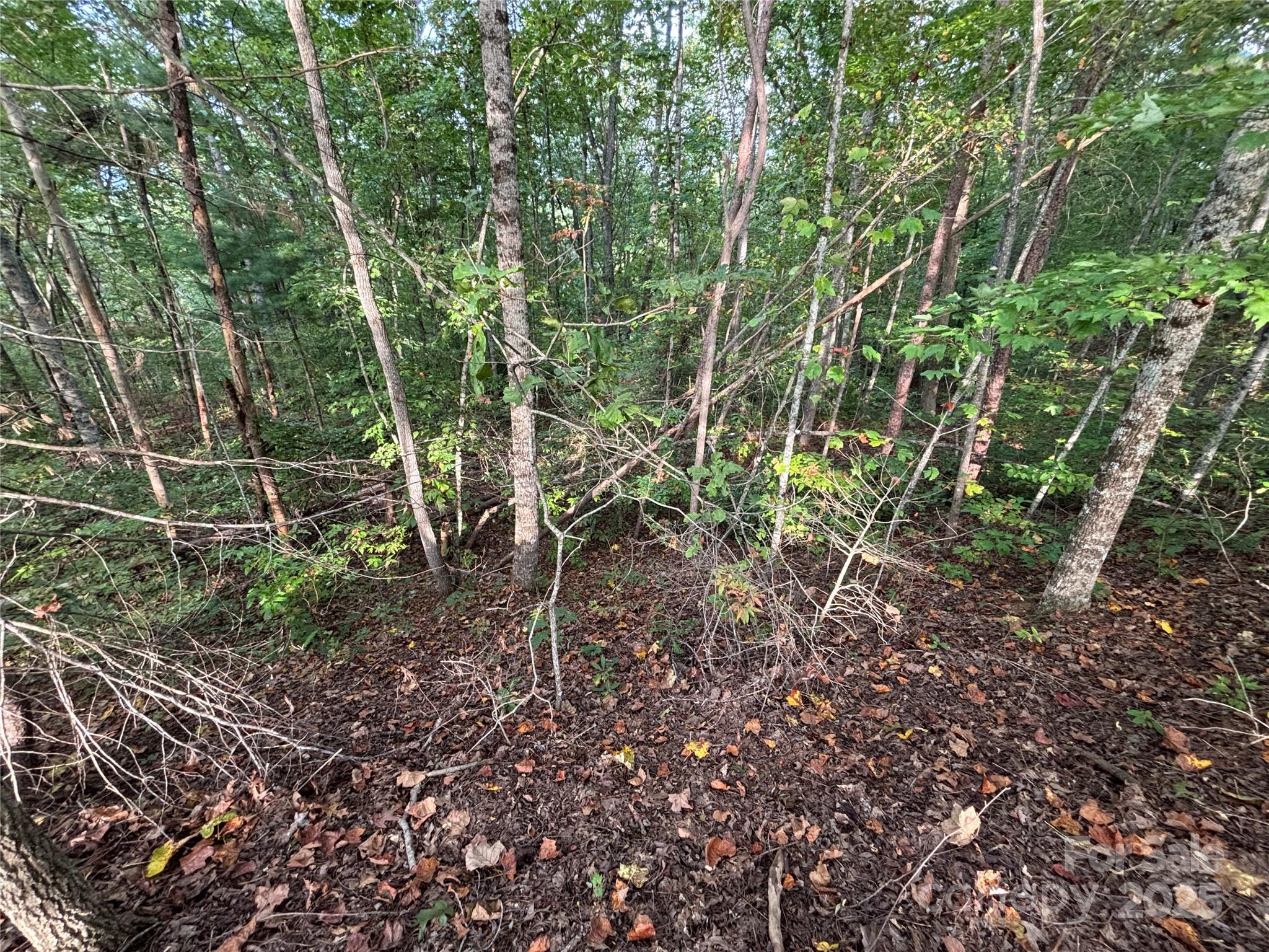 Lot 8 Madison Lane Robbinsville NC 28771