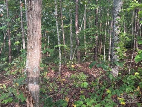 Lot 8 Madison Lane Robbinsville NC 28771