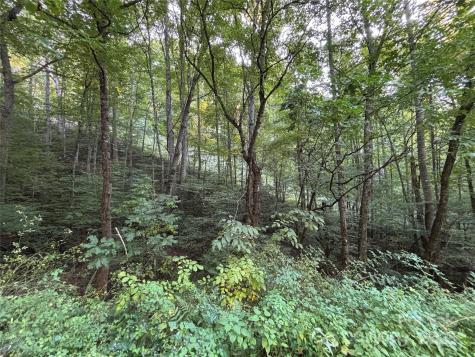 Lot 8 Madison Lane Robbinsville NC 28771