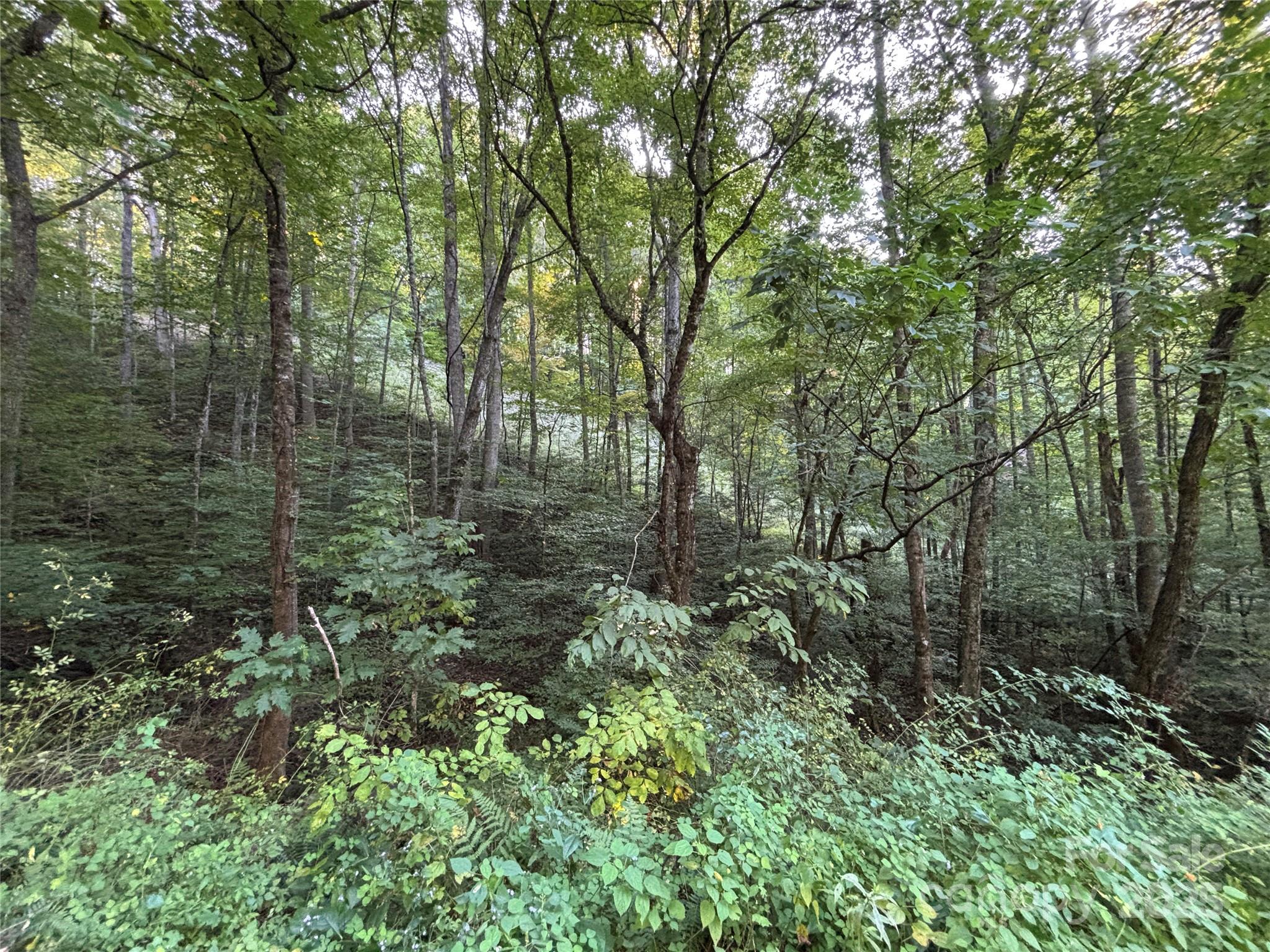 Lot 8 Madison Lane Robbinsville NC 28771