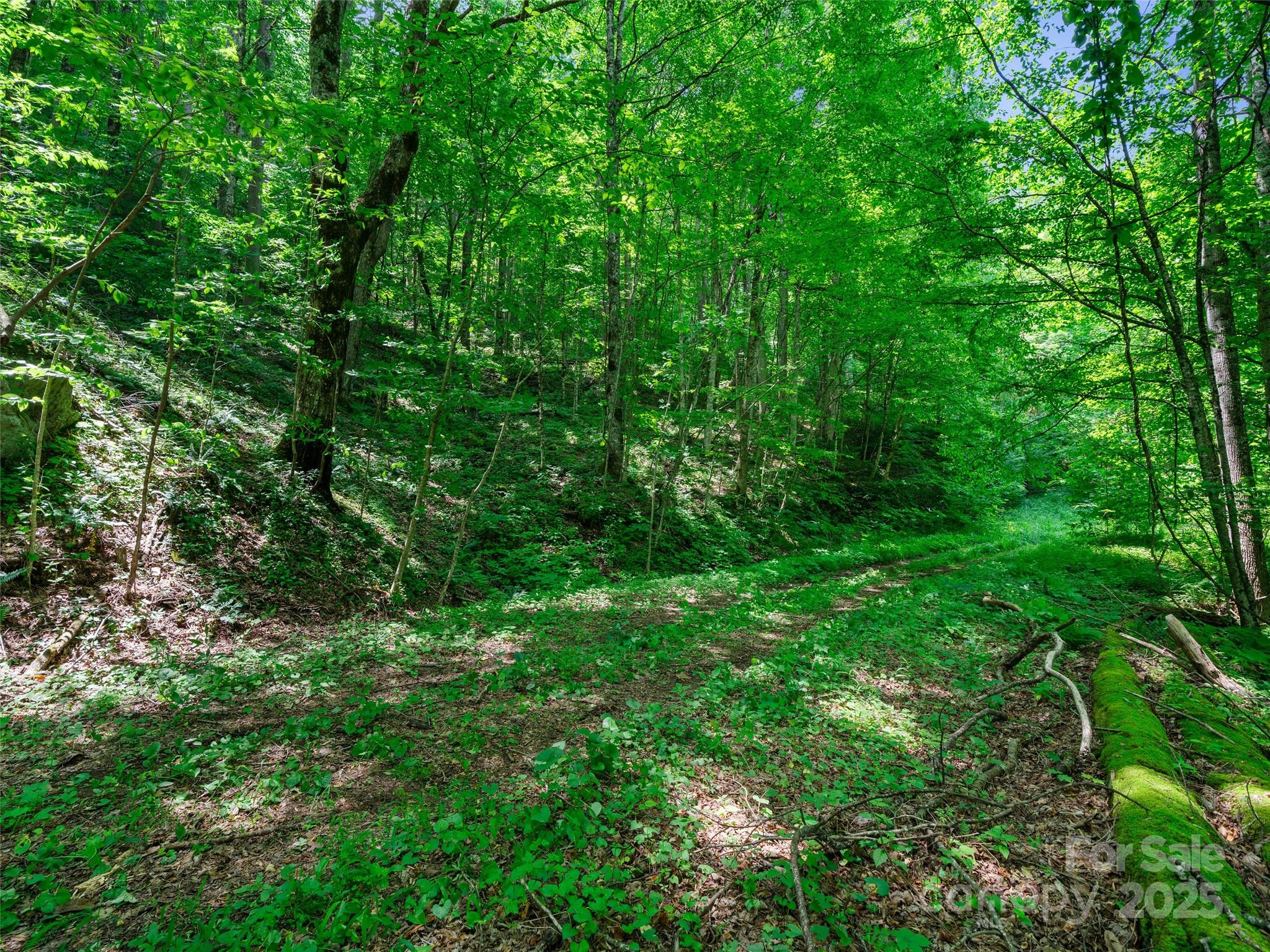 #3 Tbd Lotties Creek Road Burnsville NC 28714