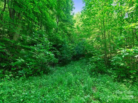 #3 Tbd Lotties Creek Road Burnsville NC 28714