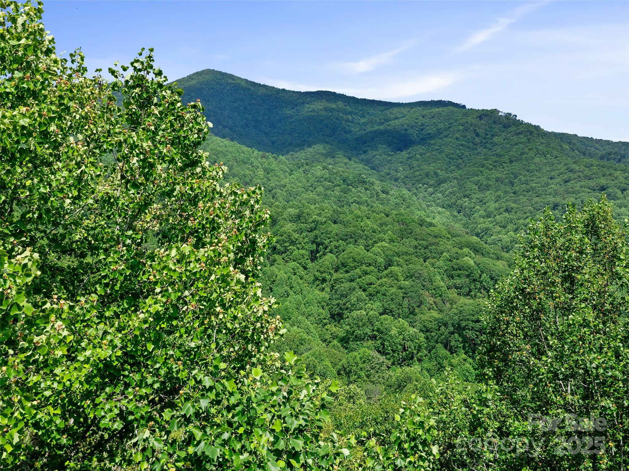 #3 Tbd Lotties Creek Road Burnsville NC 28714