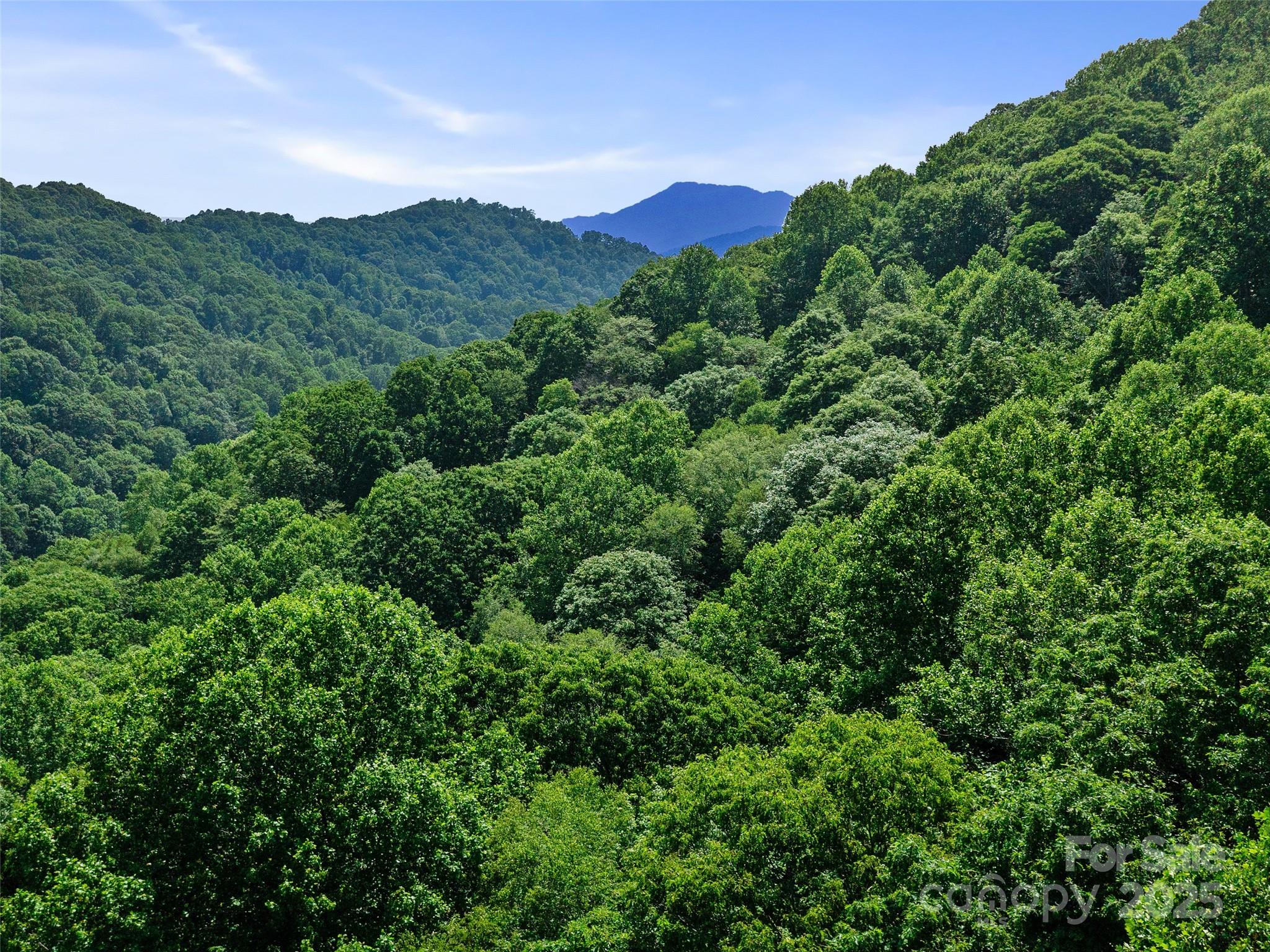 #3 Tbd Lotties Creek Road Burnsville NC 28714