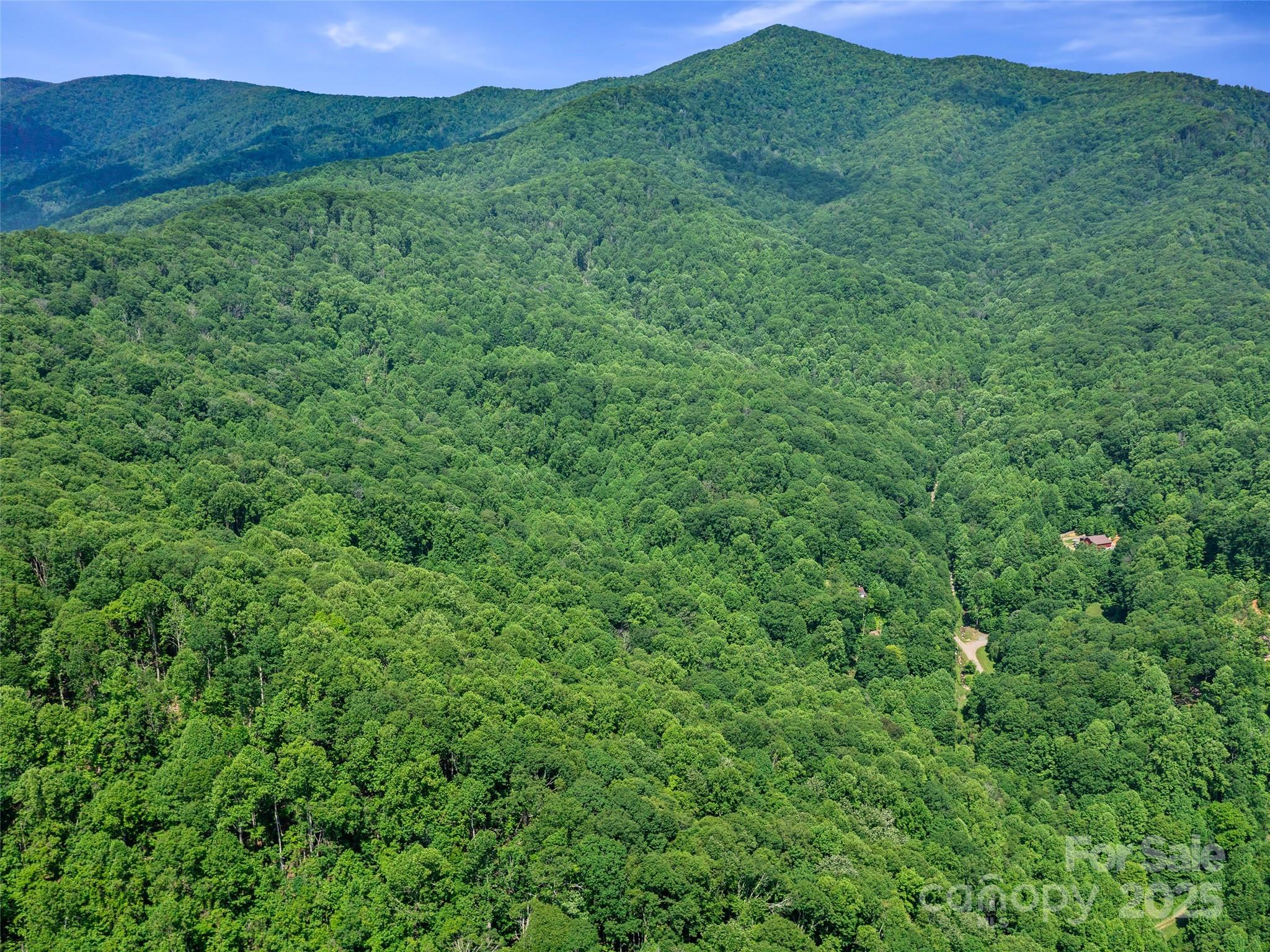 #3 Tbd Lotties Creek Road Burnsville NC 28714