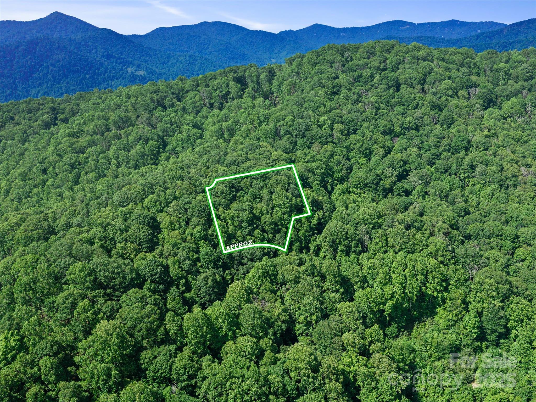 #3 Tbd Lotties Creek Road Burnsville NC 28714