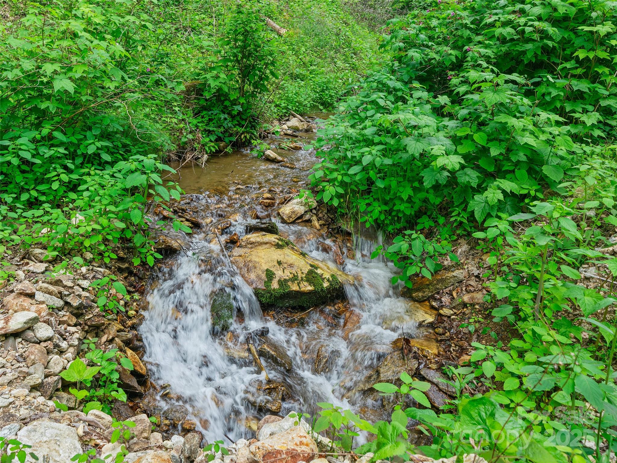 #3 Tbd Lotties Creek Road Burnsville NC 28714