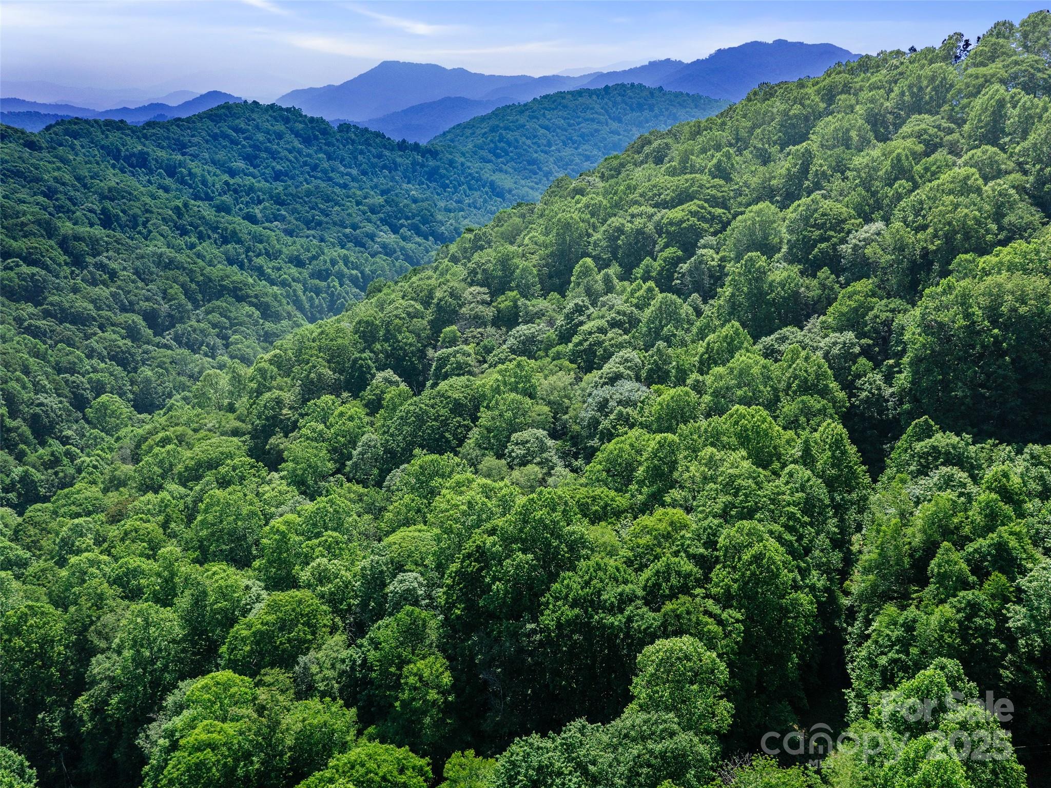 #3 Tbd Lotties Creek Road Burnsville NC 28714