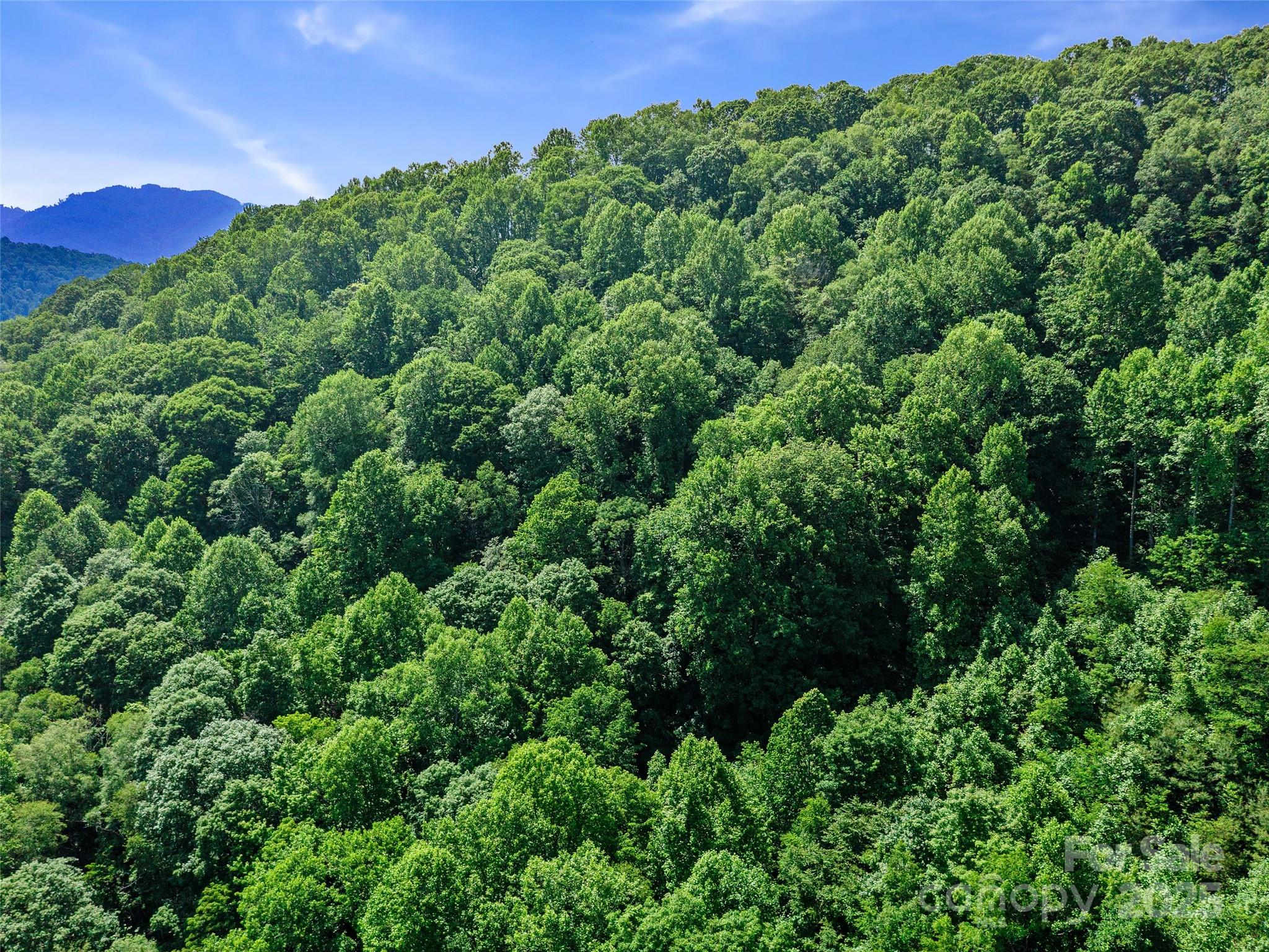 #3 Tbd Lotties Creek Road Burnsville NC 28714