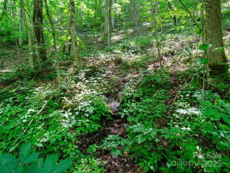 #3 Tbd Lotties Creek Road Burnsville NC 28714