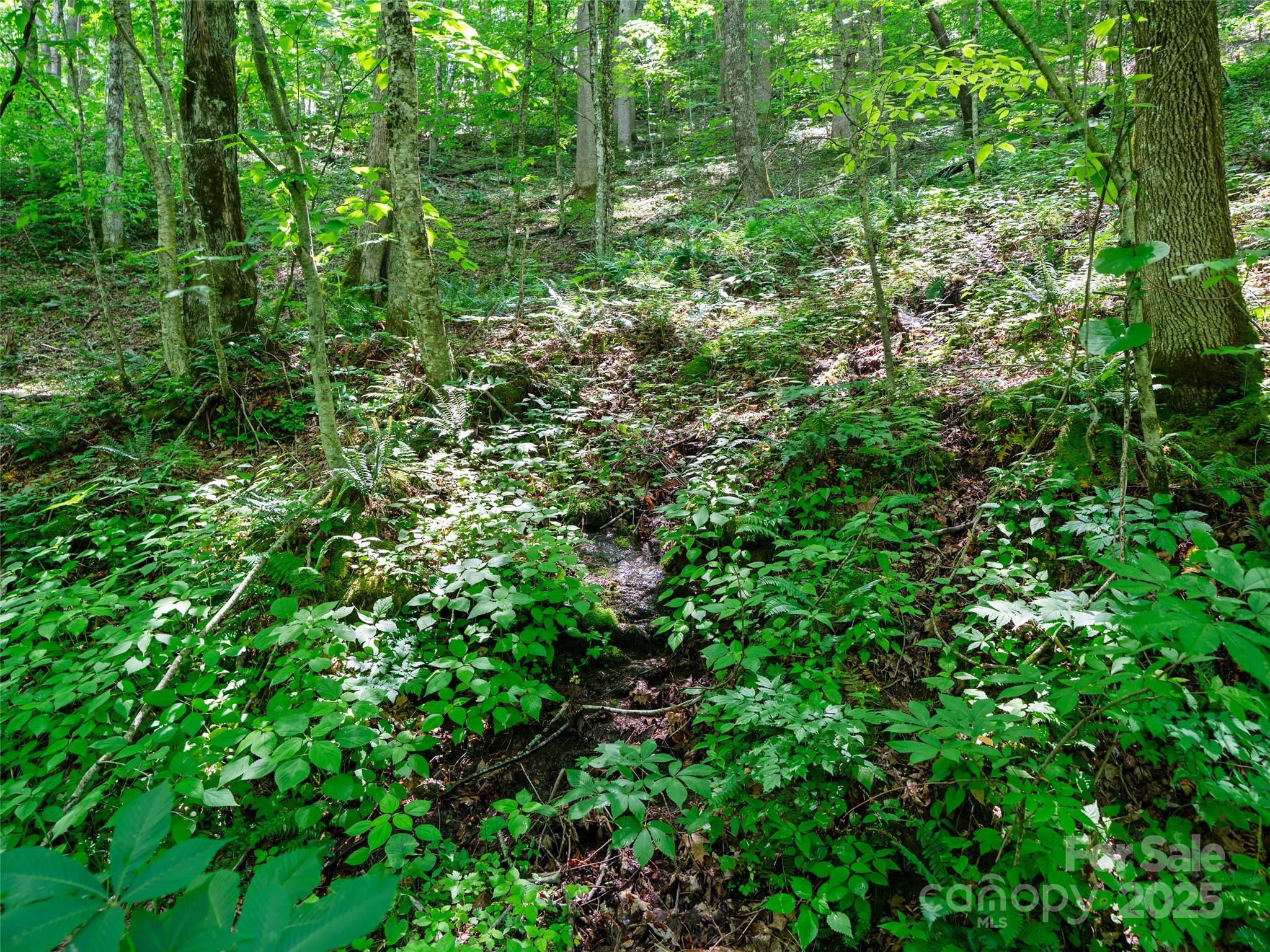 #3 Tbd Lotties Creek Road Burnsville NC 28714