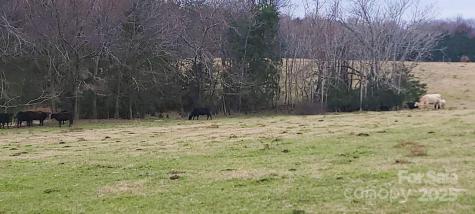 Tbd Willie Usher Road Lancaster SC 29720