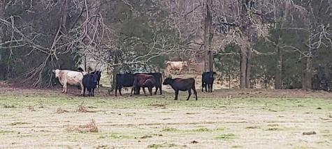 Tbd Willie Usher Road Lancaster SC 29720