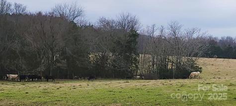 Tbd Willie Usher Road Lancaster SC 29720