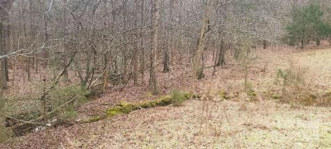 Tbd Willie Usher Road Lancaster SC 29720