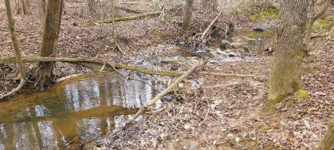 Tbd Willie Usher Road Lancaster SC 29720