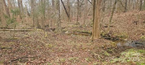 Tbd Willie Usher Road Lancaster SC 29720