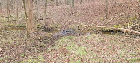 Tbd Willie Usher Road Lancaster SC 29720